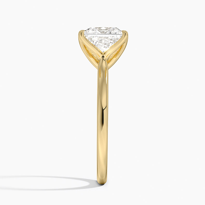Ravenna Princess lab-grown diamond ring, side2, 2 ct