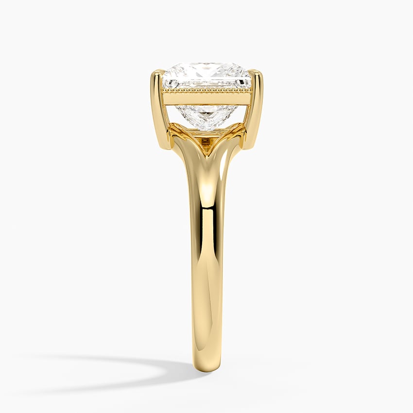 Anna Maria Princess lab-grown diamond ring, side2, 2 ct
