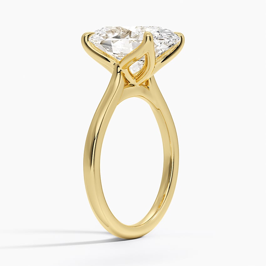 Mendocino Diamond Ring - Yellow Gold - 5 ct - Side 1
