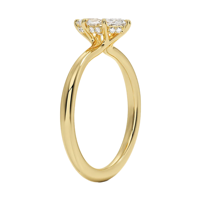 The Kyoto ring, side profile
