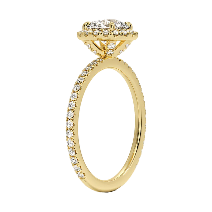 The Palawan ring, side profile