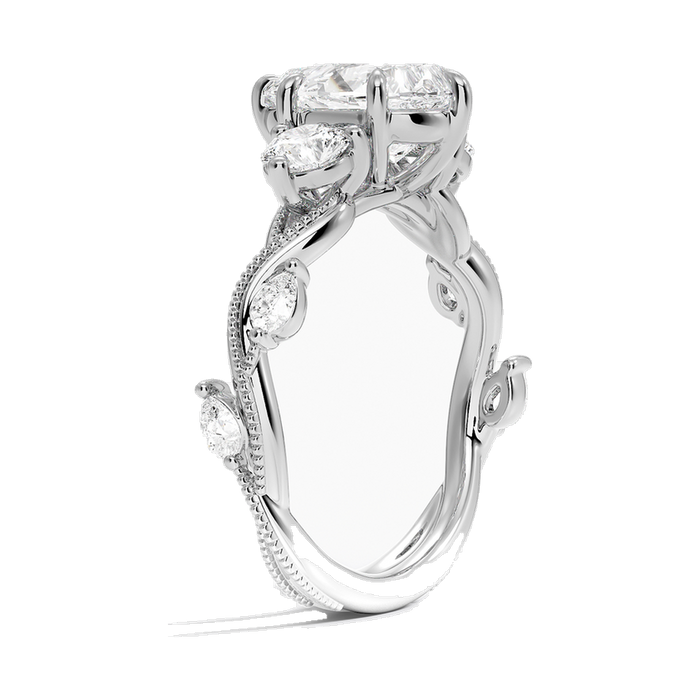 The Patagonia ring, side profile