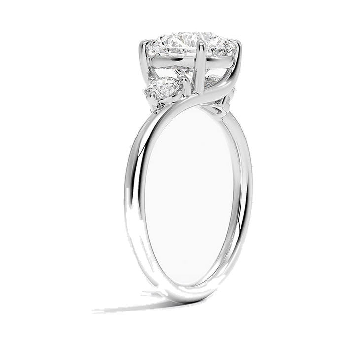 The Vail ring, side profile