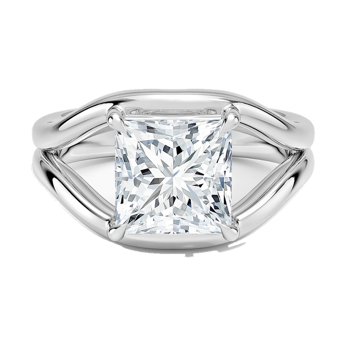 The Mauritius ring