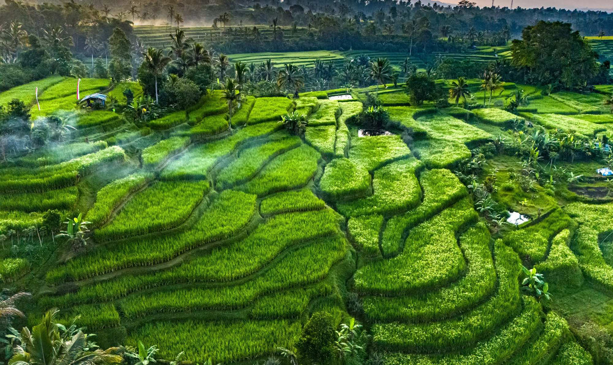 Bali, The Goddess of the Lake