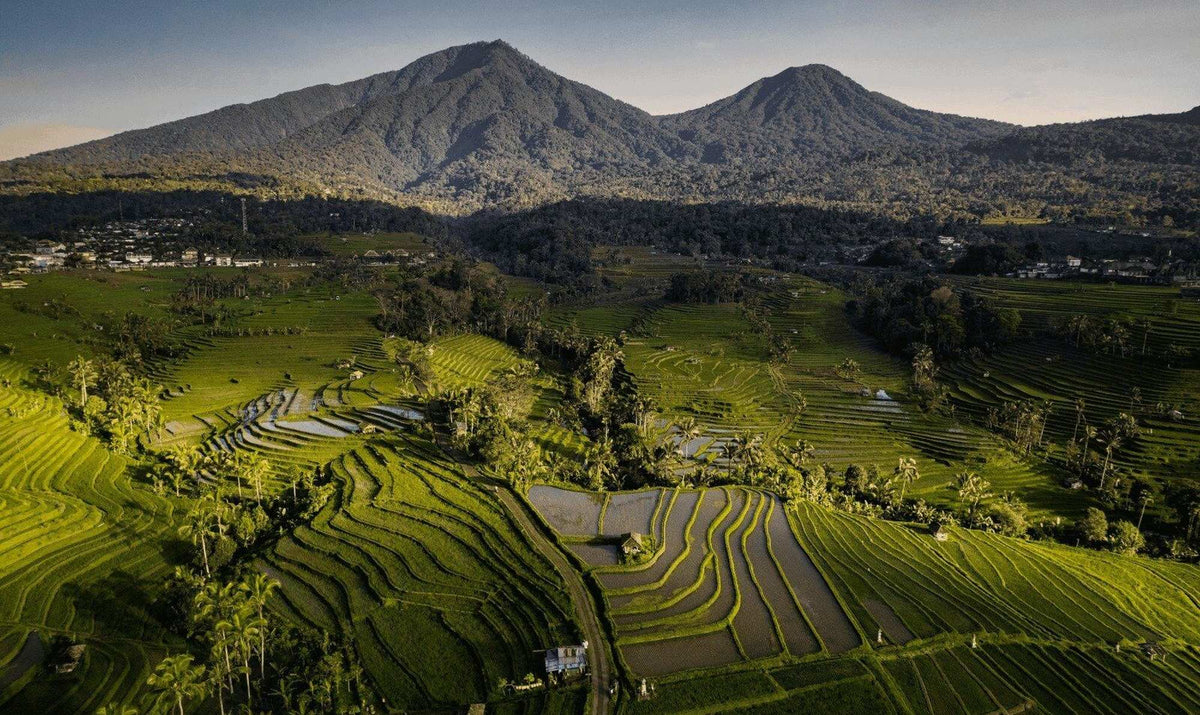 Bali, The Mountain in the East