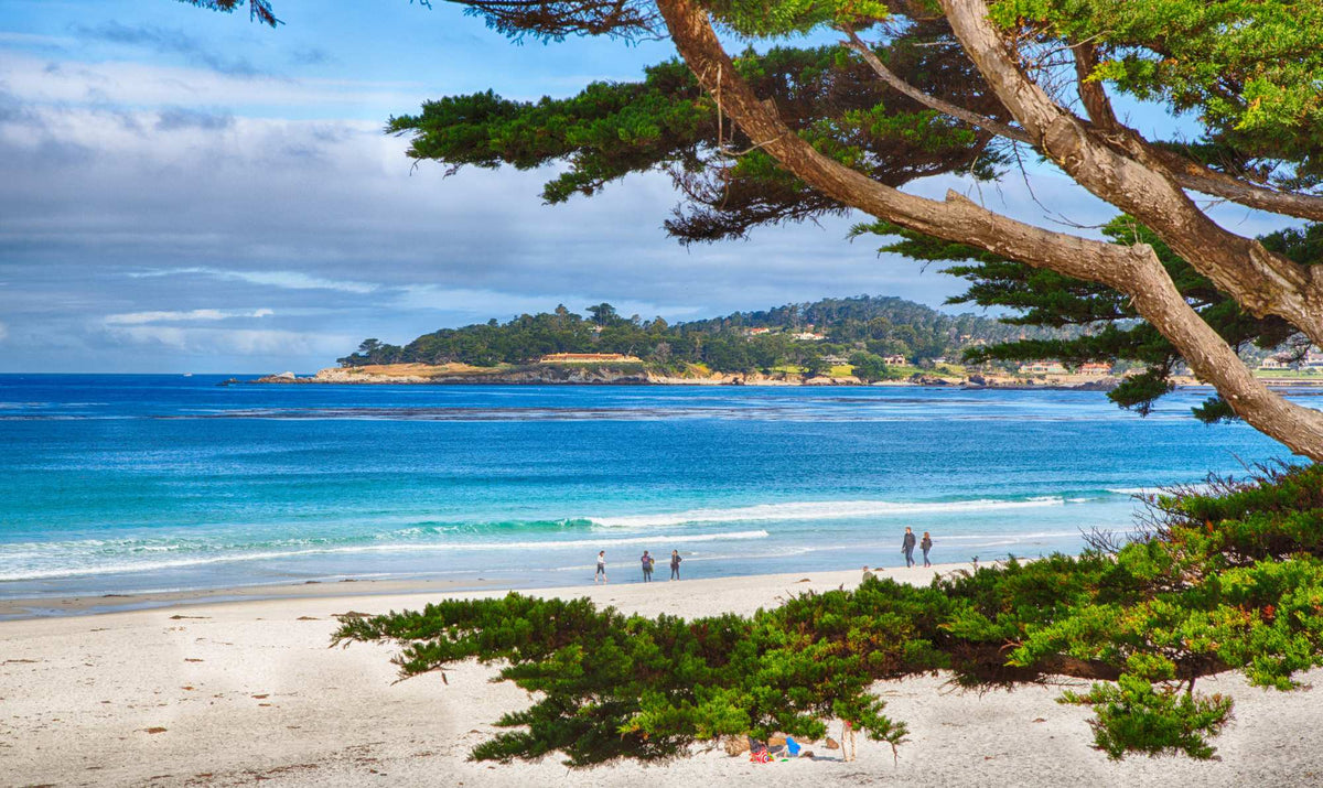 Carmel, Sand The Color Of Bone