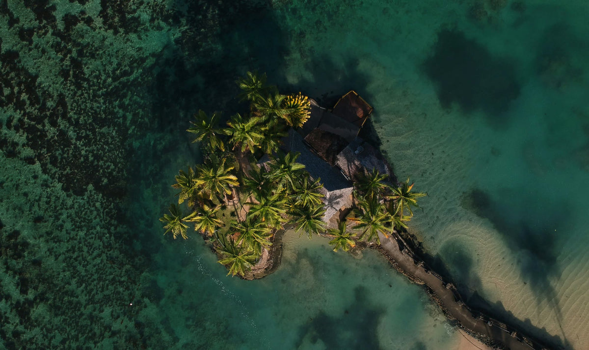 Fiji, The Reef Below
