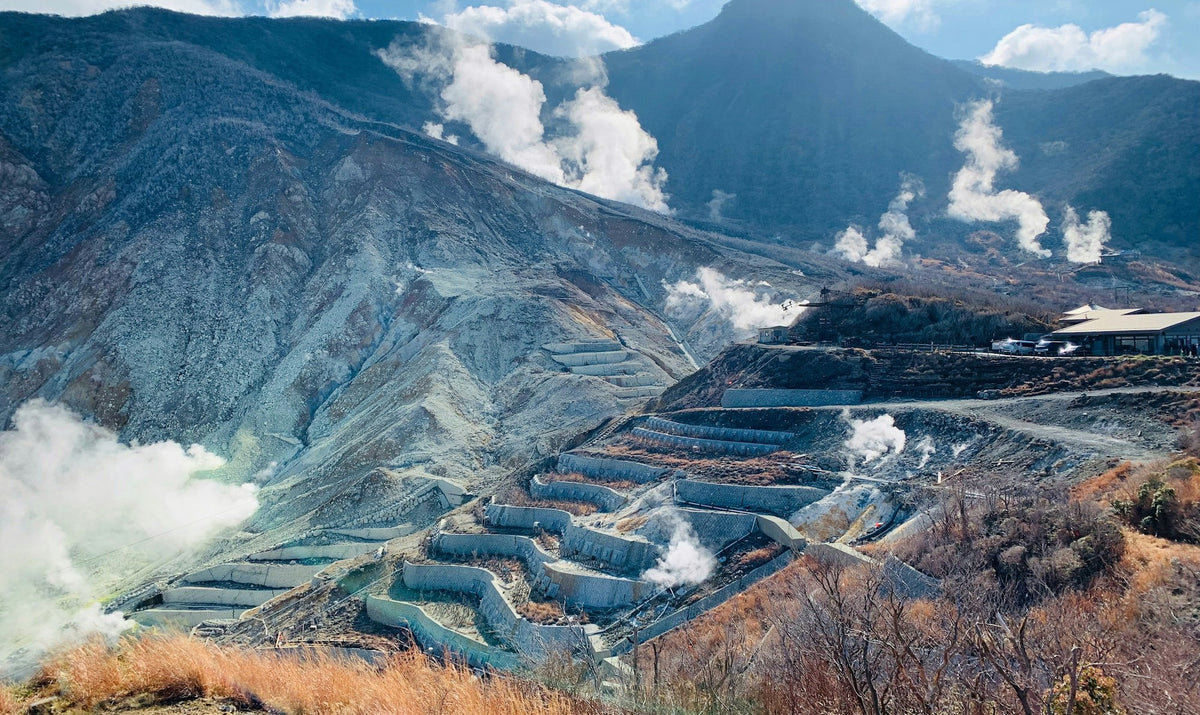 Hakone, The Cedar Rows