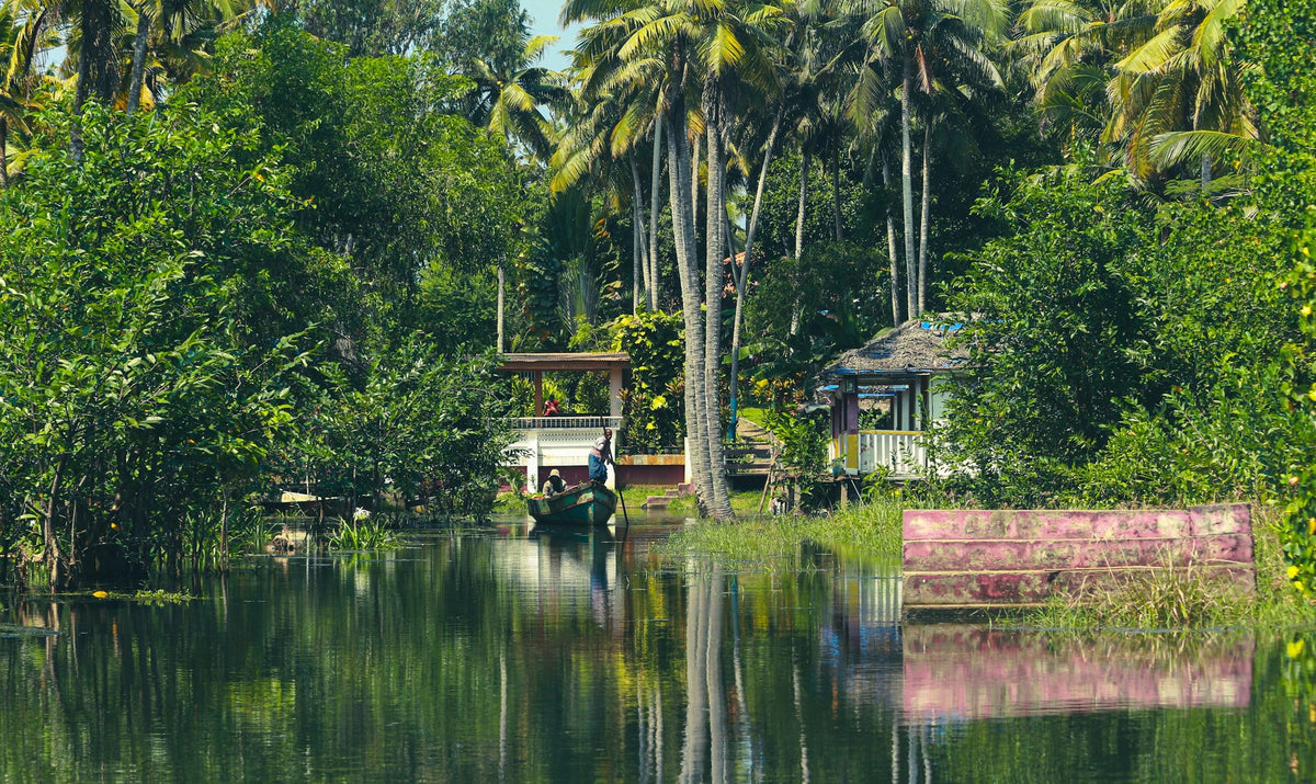 Kerala, The Water Level