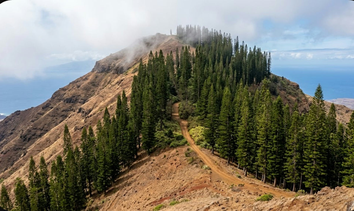Lanai, The Planted Ridge