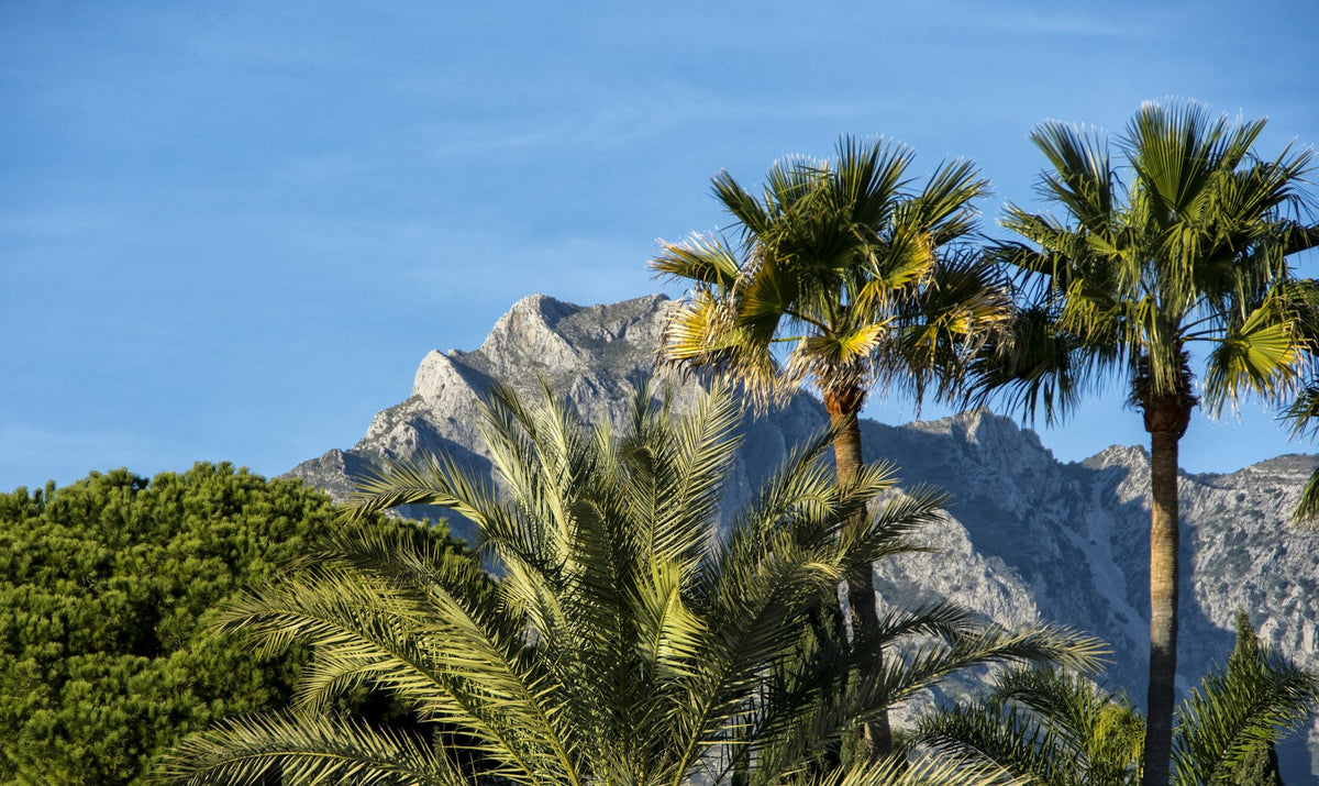 Marbella, Water In Marble