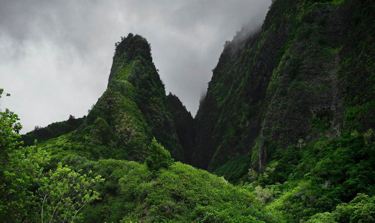 Maui, The Needle