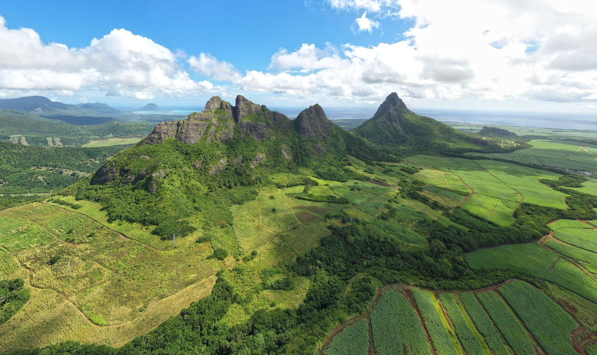 Mauritius, The Head