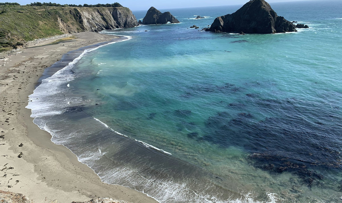 Mendocino, The Open Headland