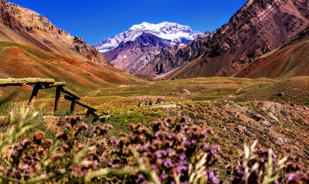 Mendoza, The Highest Ground
