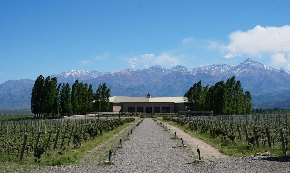 Mendoza, The Stepped Skyline