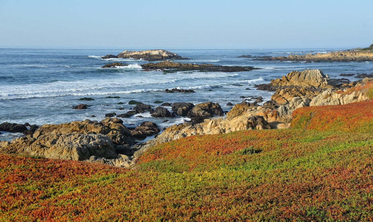 Monterey, The Granite Shore