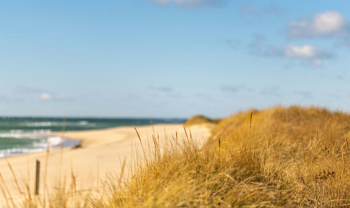 Nantucket, The Gray Town