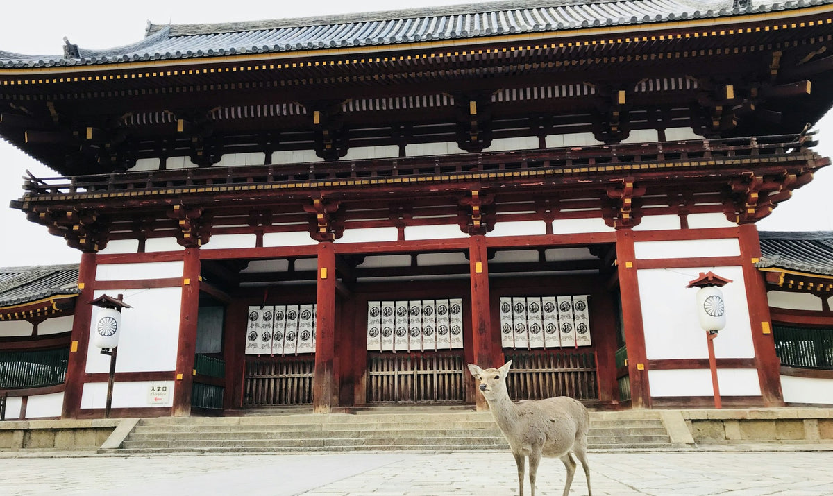 Nara, The Eight-Sided Hall