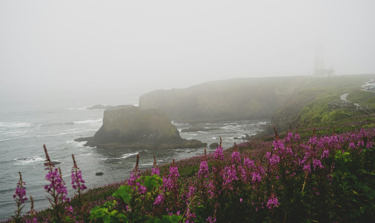 Newport, The Point