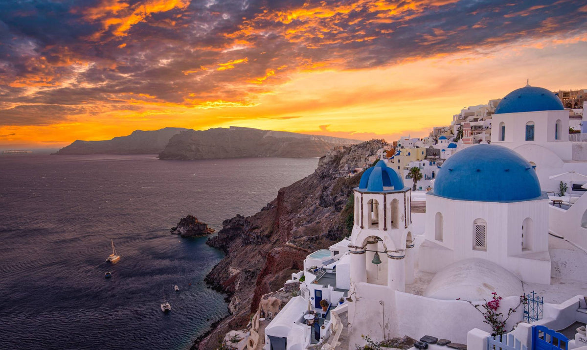 Santorini, Lilies and Swallows