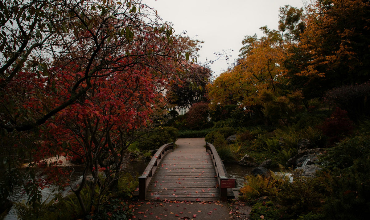 Sapporo, The Springs