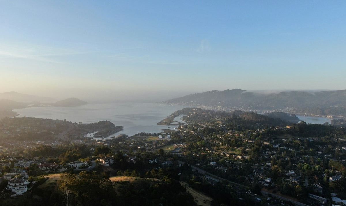 Sausalito, Hillside and Shoreline