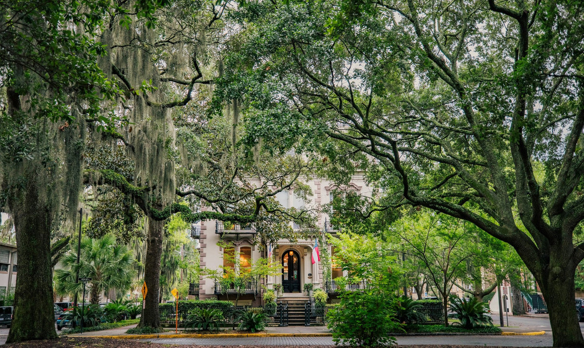 Savannah, The Squares
