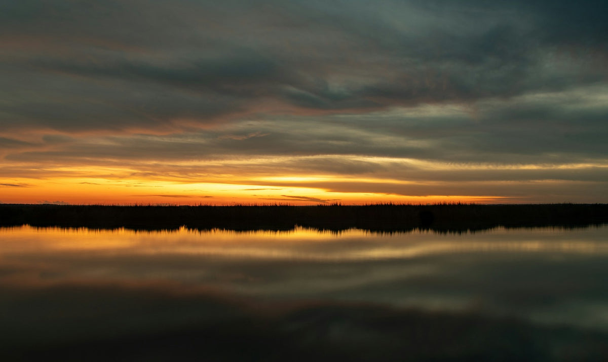 Savannah, The Marsh