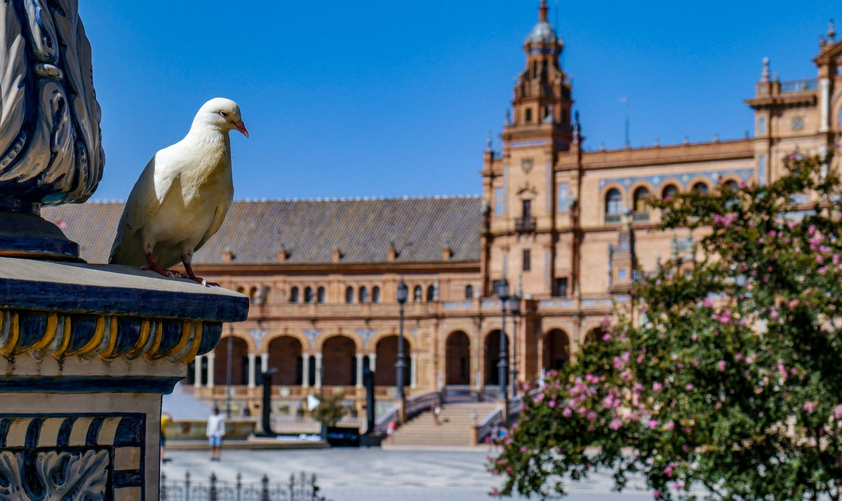 Seville, The Half Circle