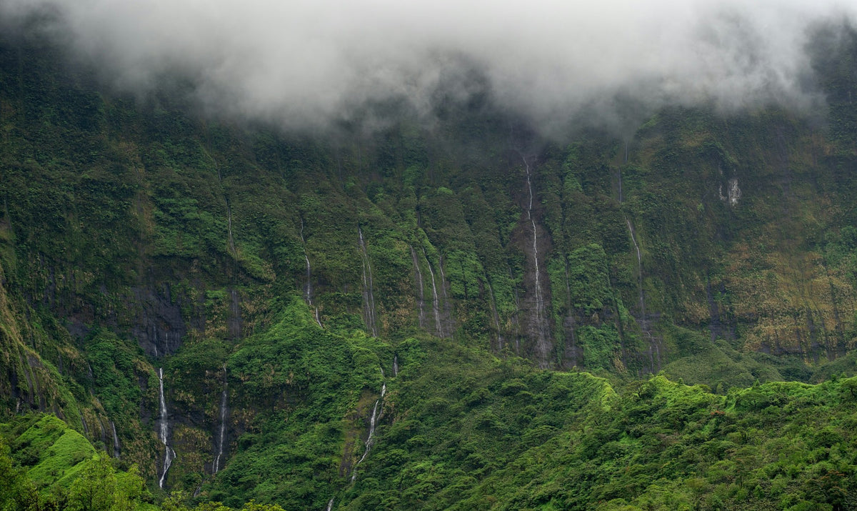 Tahiti, The High Interior