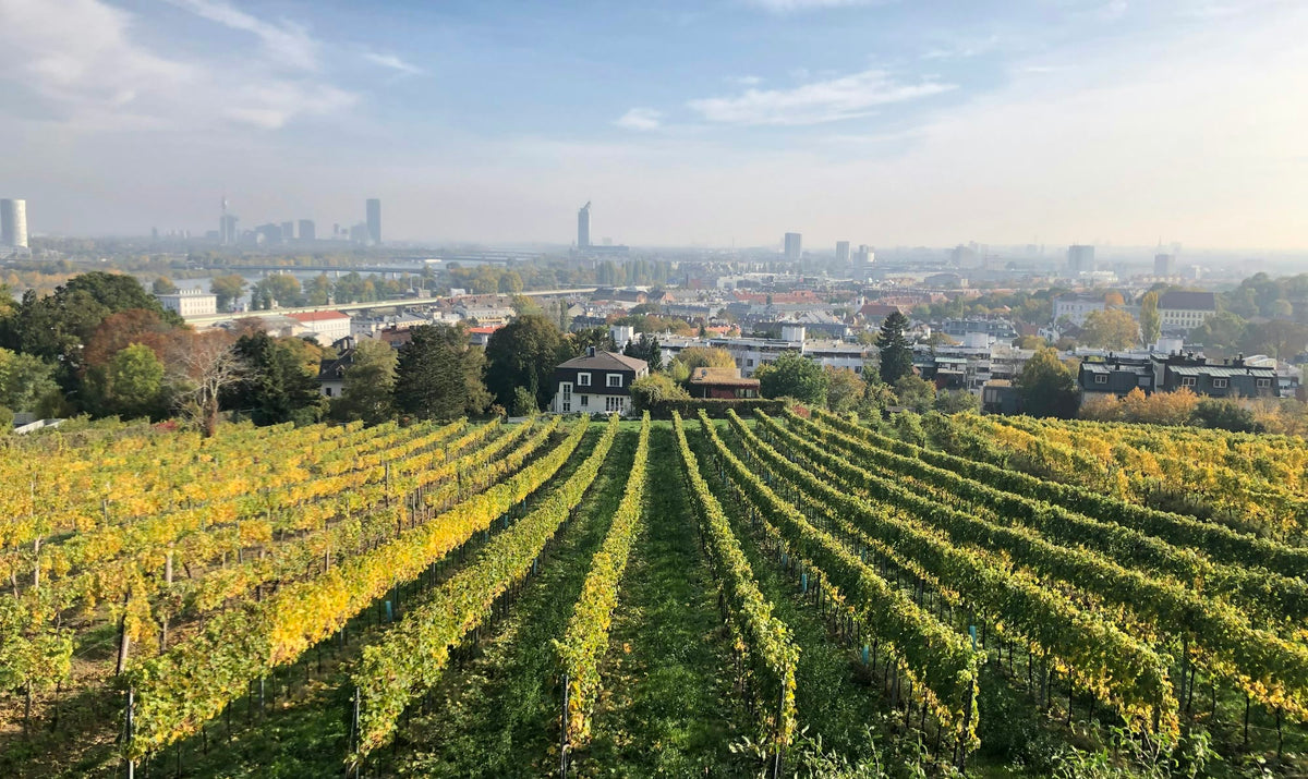 Vienna, Where the Alps End