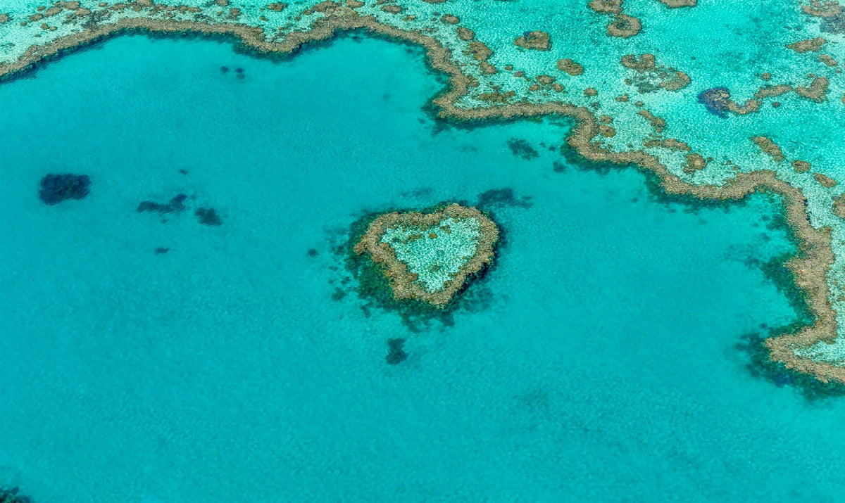 Whitsunday, The Fringing Reef