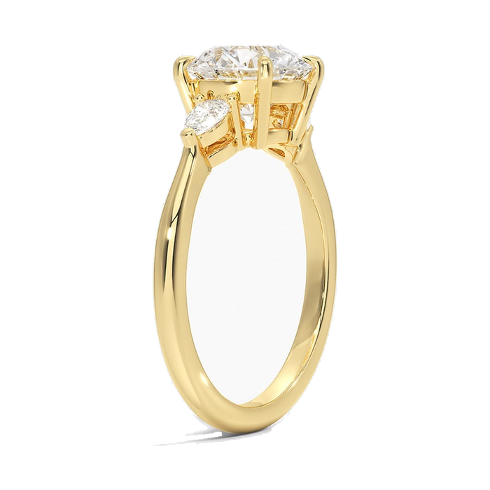 The Agra ring, side profile