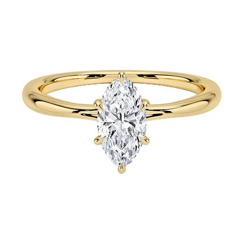 The Kyoto ring