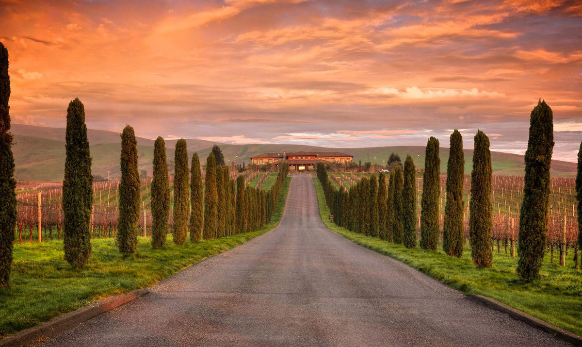 Napa, Held Between Ranges