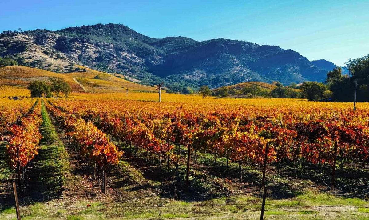 Napa, The River From The Peak