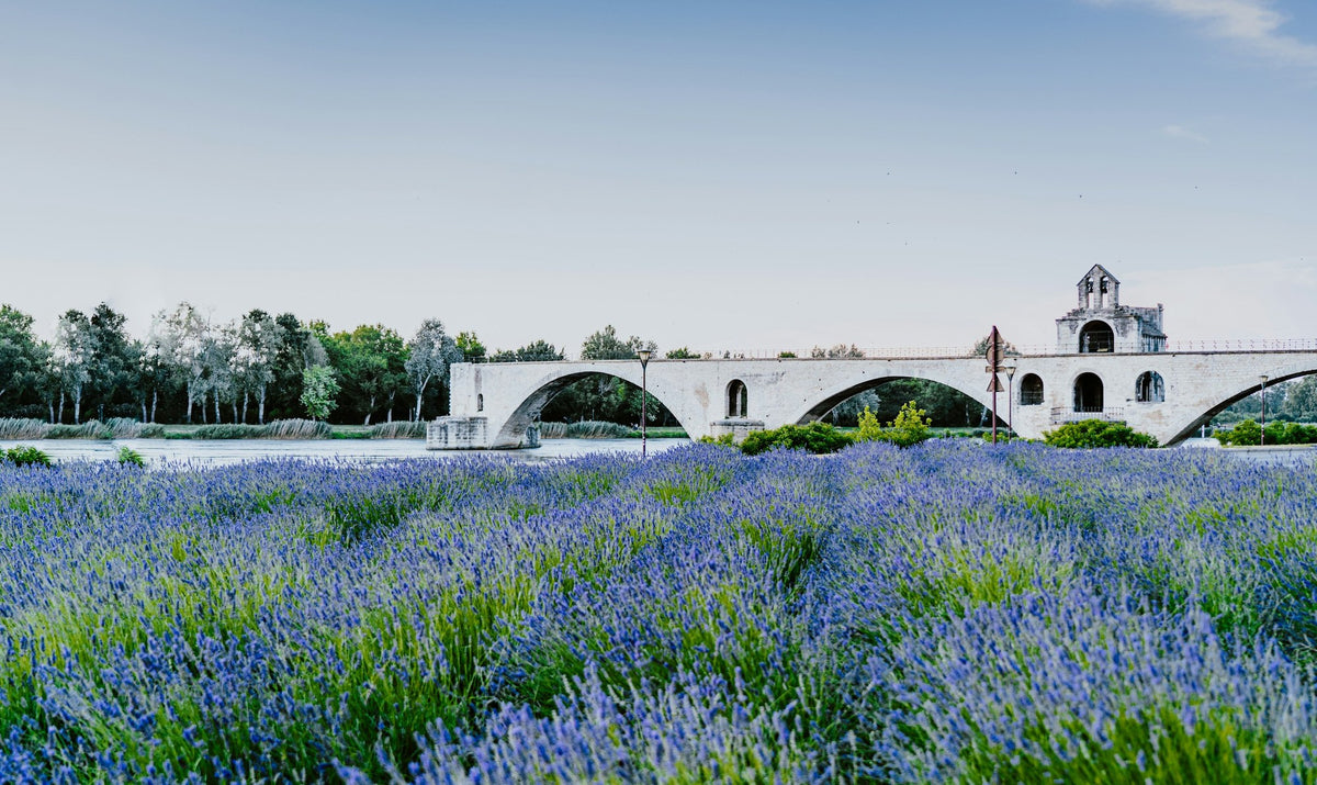 Provence, The Ring Of Arches