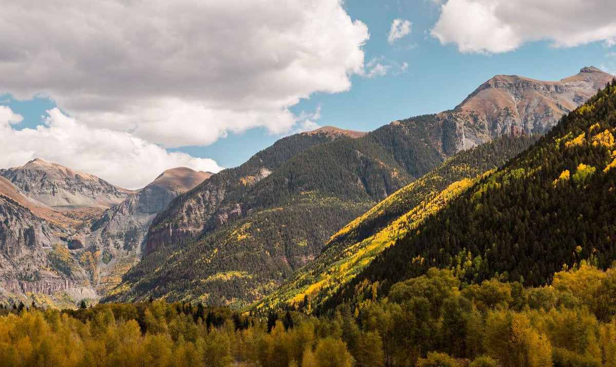 Telluride, The Waterfall That Roars
